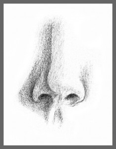 nose