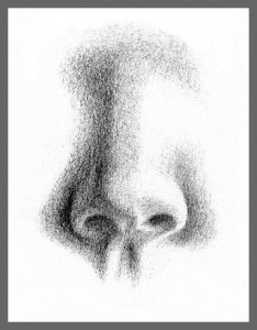 nose