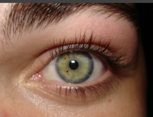 reference photo eye